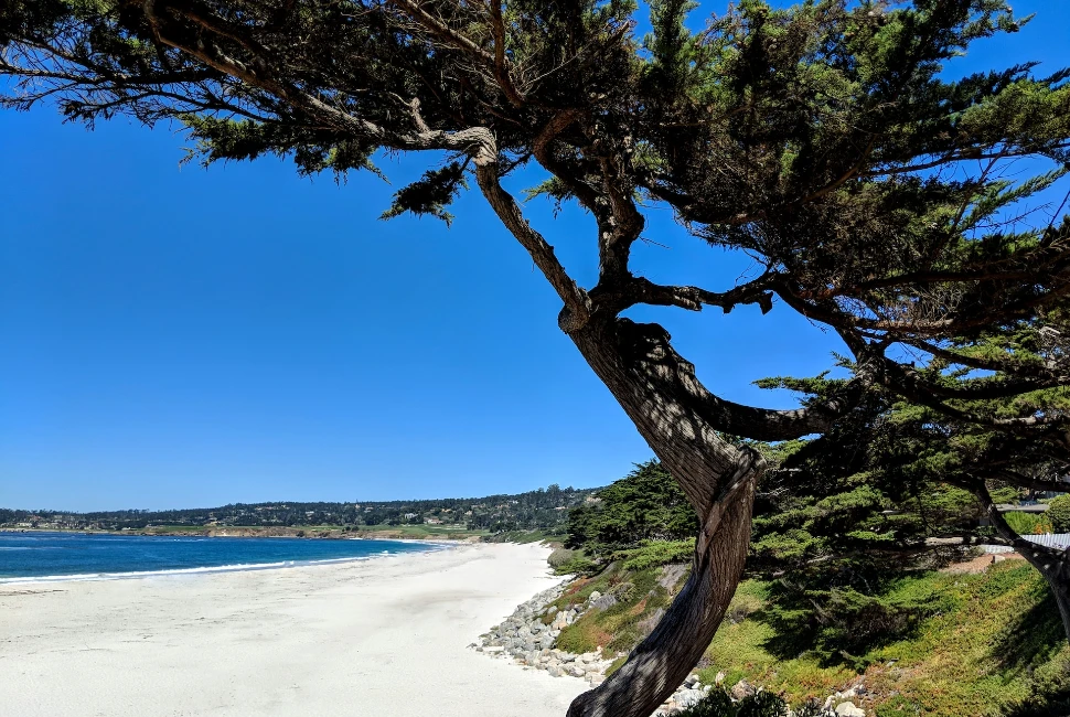 Exploring the Scenic Beauty of Salinas: A Comprehensive Travel Guide